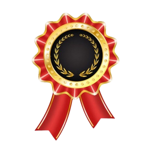 seoaward-removebg-preview